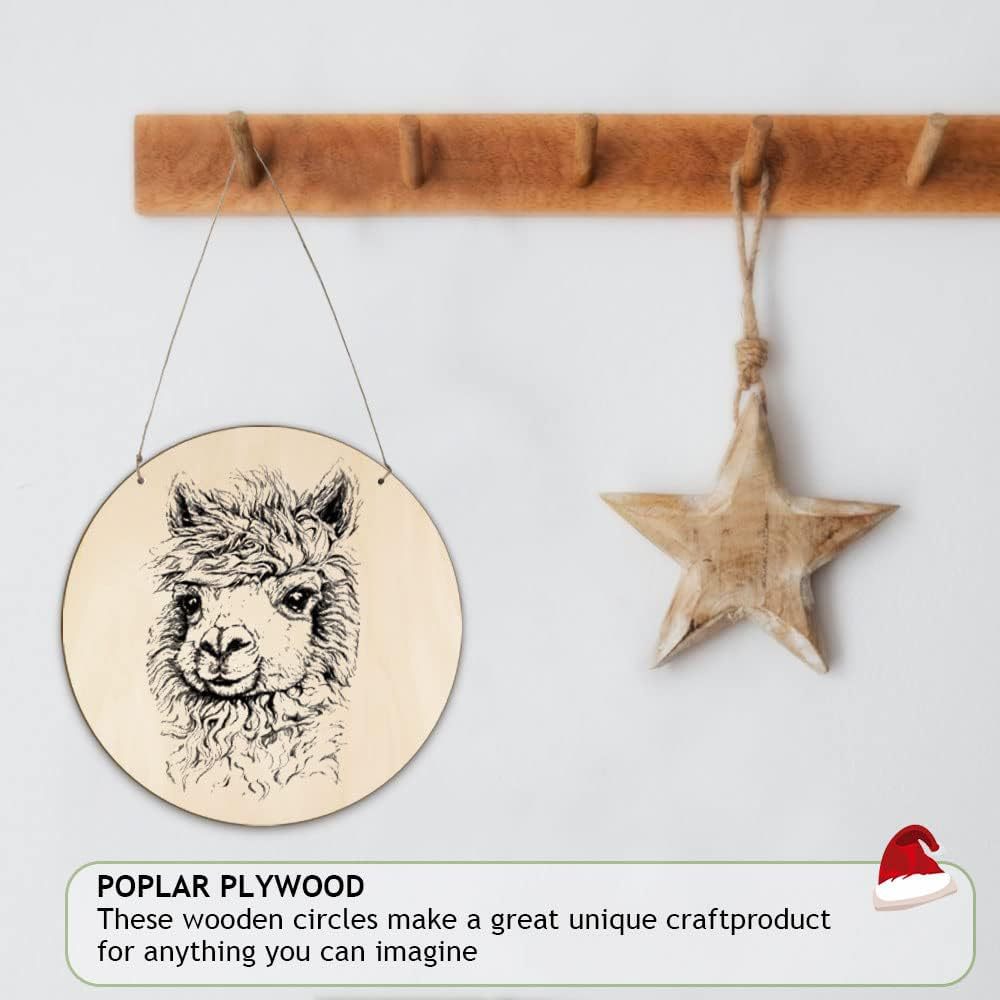 30cm打孔圆形门牌挂牌木制空白圆木片工艺品DIY木质圣诞节日装饰详情24