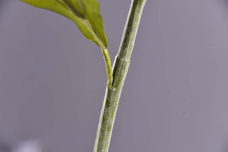 Dongli Yiwu Source Quality Products, high-end artificial flowers, hanging chicken tail tassels wholesale, artificial reeds, artificial flowers, artificial green plants, mouse tail model house home decorations pic 24