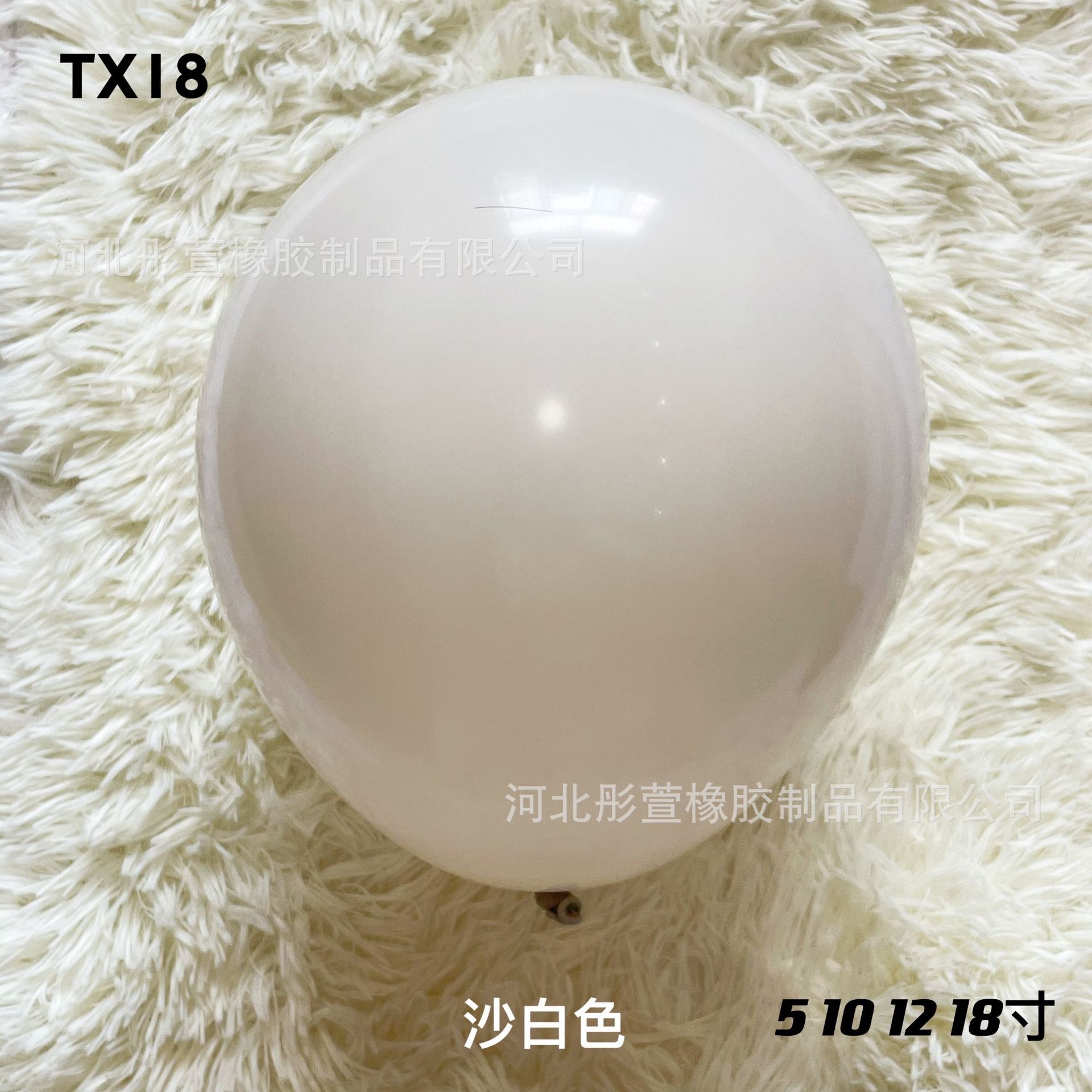 沙白.jpg