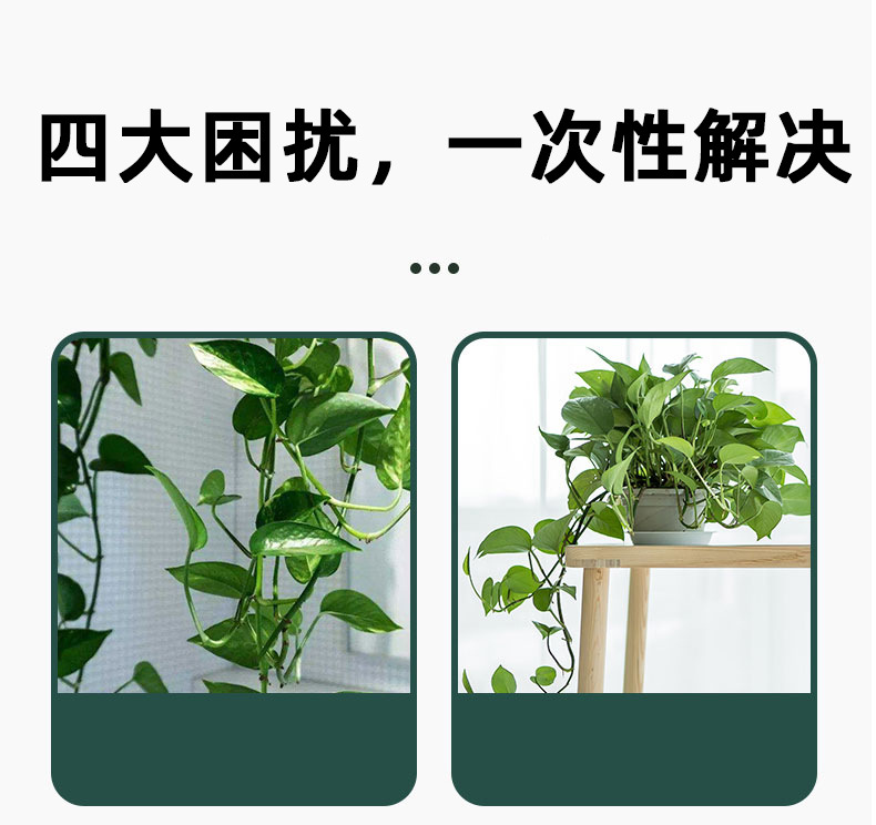 藤蔓绿植无痕攀爬免钉贴墙上神器理线夹自粘式挂钩绿萝爬墙固定器详情4