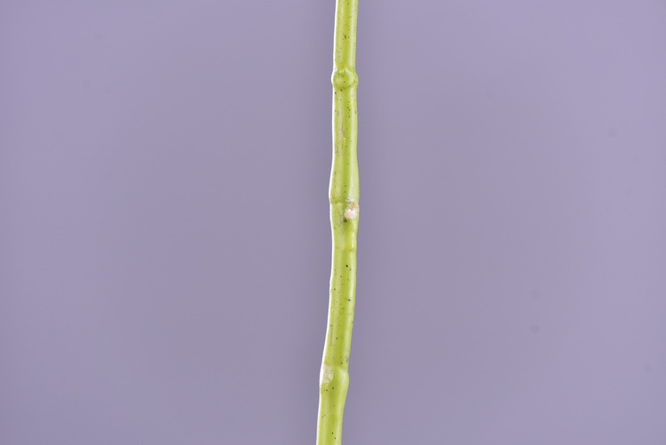 Factory supply of artificial hydrangeas, high-end hydrangea wholesale, wedding, home, hotel landscaping, main flowers, decorative artificial flowers pic 37