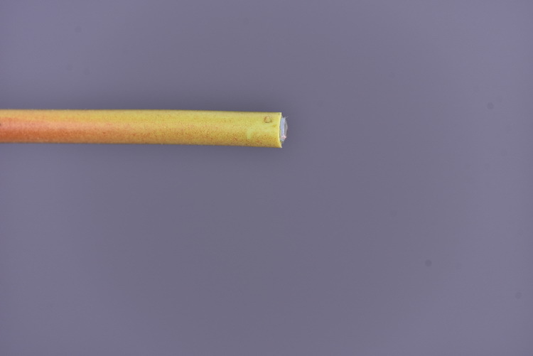 Factory direct sales of 2 simulated peonies, retro charred edge simulated peonies, soft decoration floral art for living rooms, lobbies and homestays pic 65