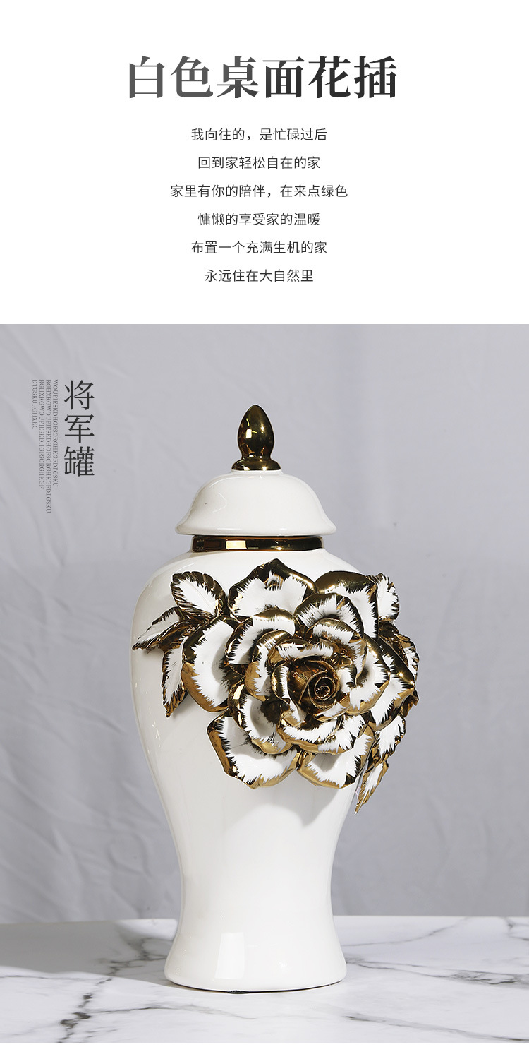 New ceramic electroplated decal golden general jar, European-style flower arrangement vase, handicraft display item, decorative storage jar pic 3