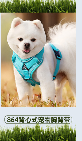新款狗狗牵引绳 背心式宠物胸背带反光透气遛猫绳狗绳子现货批发详情11