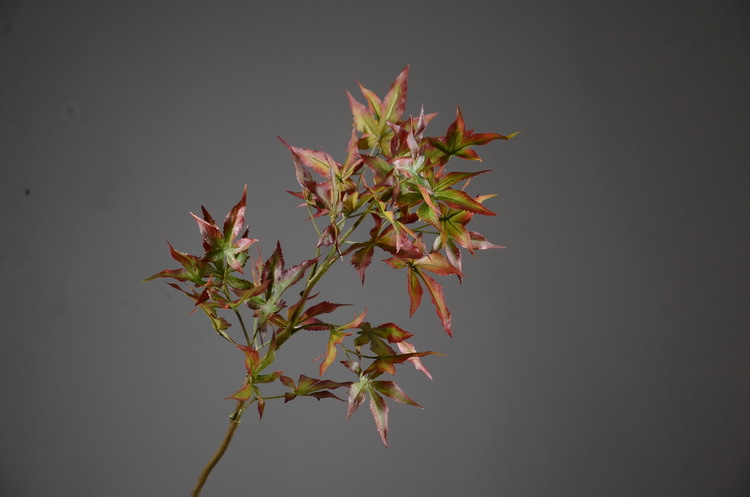 Factory wholesale of artificial flowers, direct sales from the manufacturer, wholesale of artificial green plants, home decoration flowers, red artificial leaves, artificial maple leaves pic 19