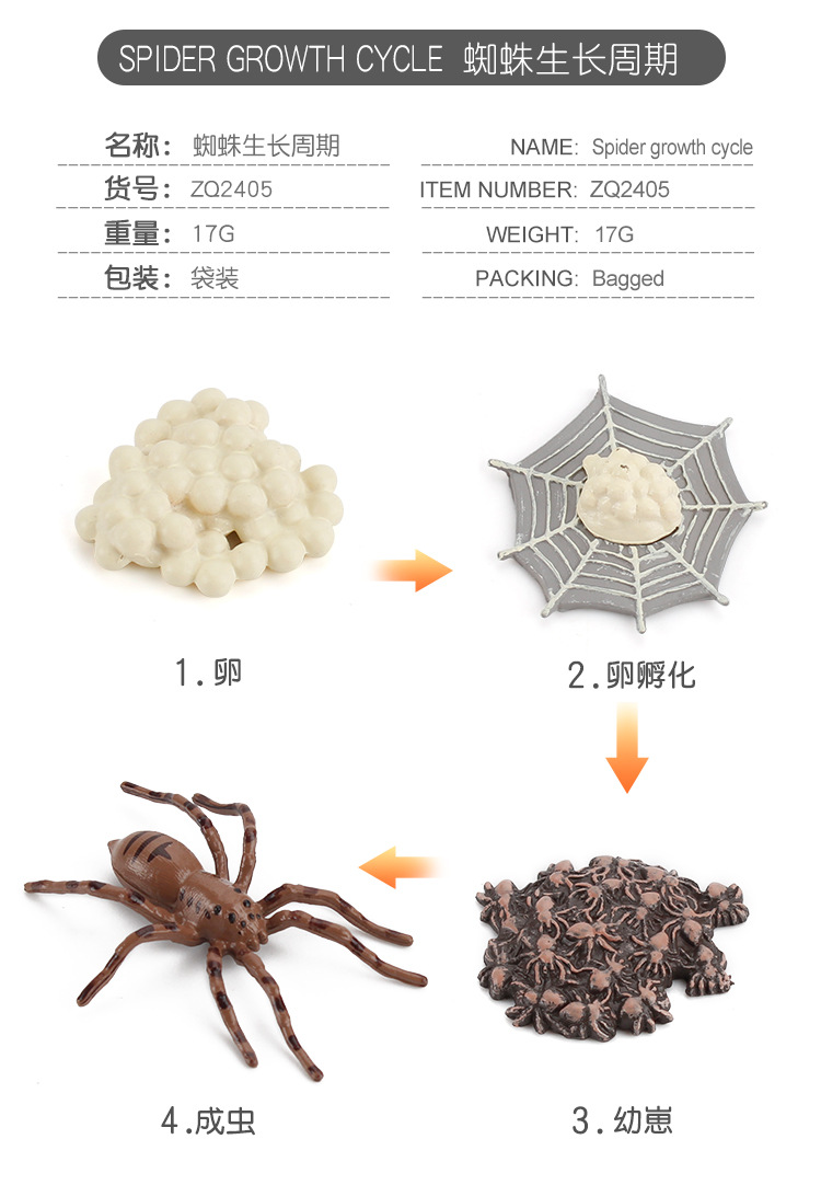 详情_06.jpg