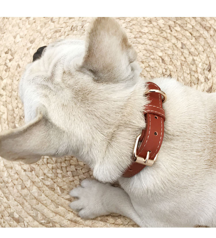 Fatou golden hair teddy collar de perro pequeño y mediano collar de cuello de PU lindo collar de cuello de mascota ajustable collar de gato pic 10