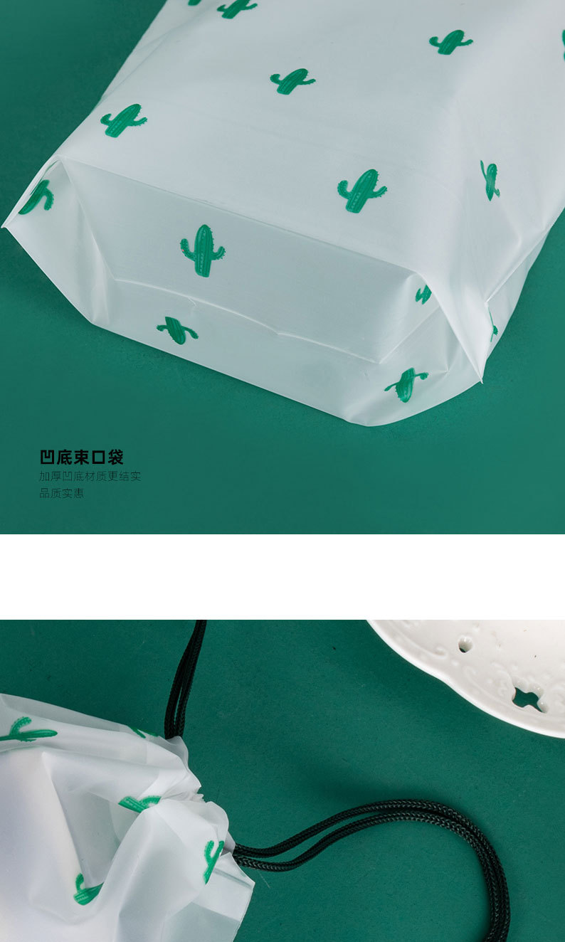 仙人掌束口袋现货_15.jpg