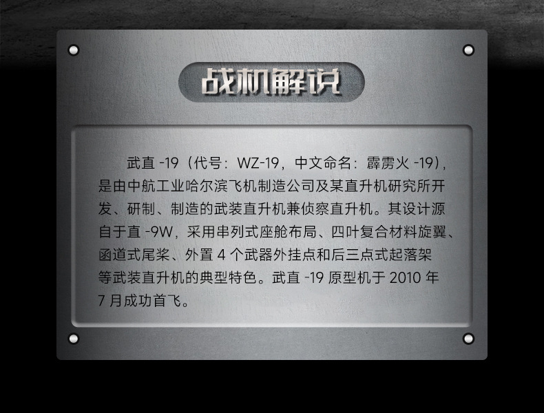 1:48直19飞机模型高仿真合金飞机航空泡沫模型成品摆件纪念品定制详情2