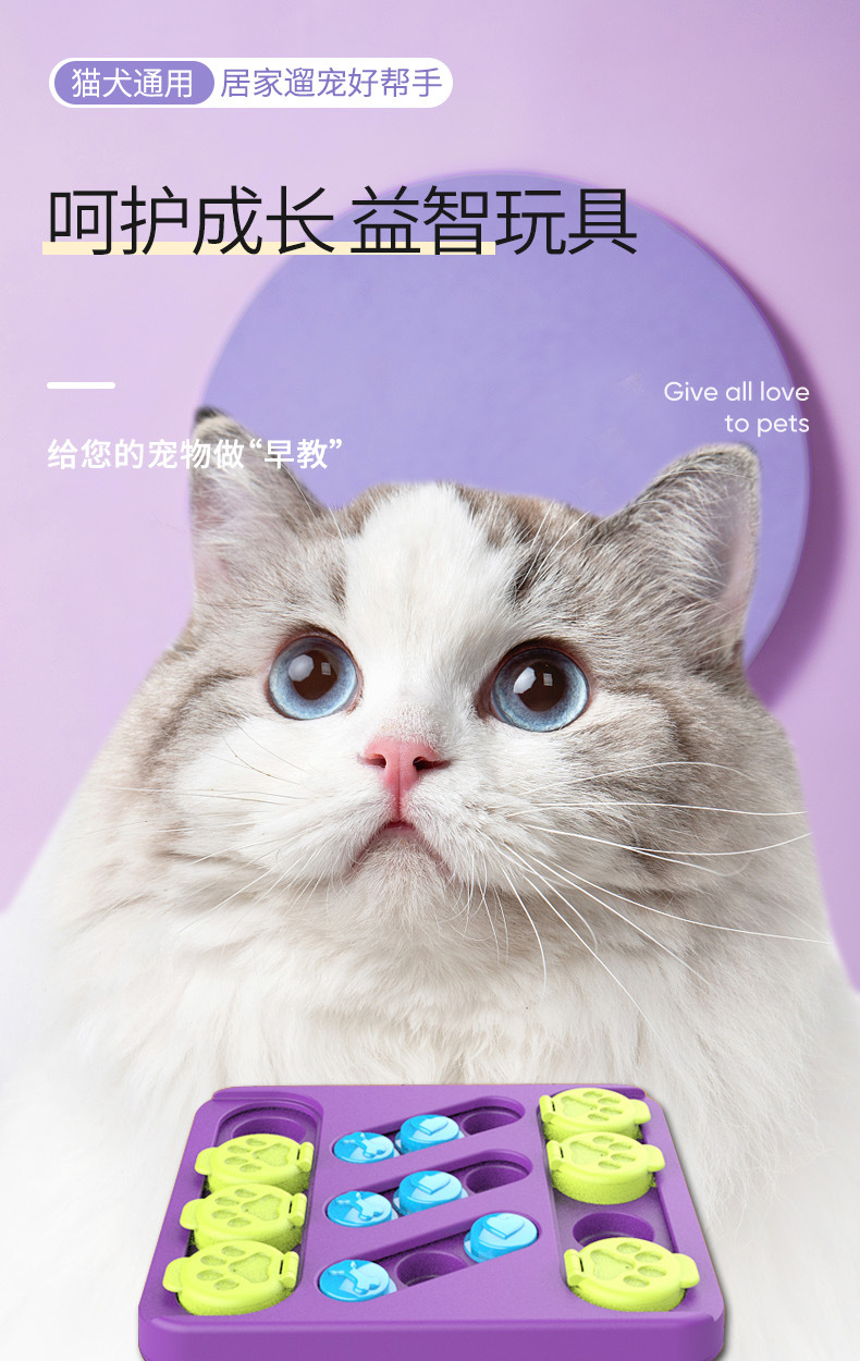 宠物用品工厂批发亚马逊宠物玩具寻宝益智漏食狗狗互动玩具转盘详情2