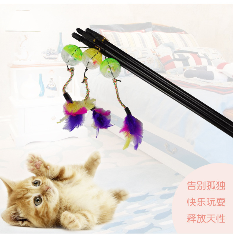 Colorful feather bell cat toys, plastic hollow bell balls, fishing rods, cat toys, pet interactive cat toys pic 5