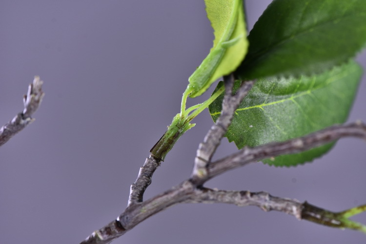 Wholesale of artificial apple branches, multi-leaf home decoration fruit branches, new Chinese-style New Year decoration berries from the manufacturer pic 23