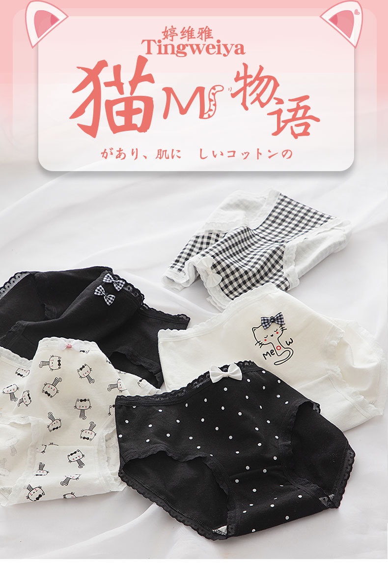 猫咪_01.jpg