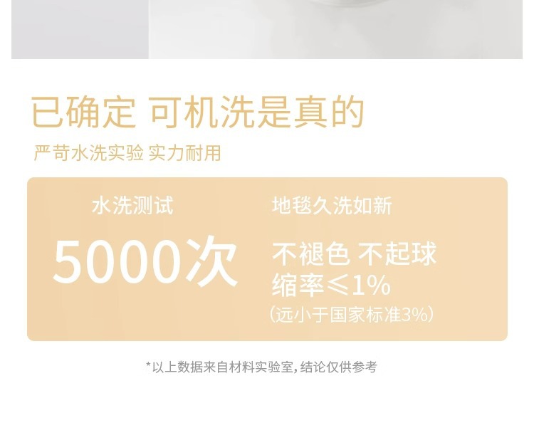可机洗地毯客厅2024新款秋冬卧室水洗房间床边茶几地垫免洗可擦详情10