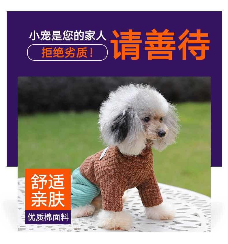 Pet suéter nuevo color sólido moda perro cuatro pies otoño invierno engrosado caliente cómodo cuello alto gato suéter pic 4