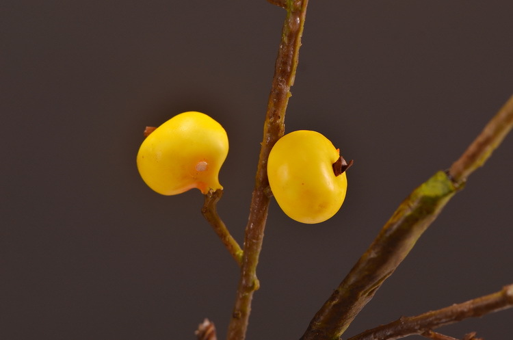 Artificial rosehip, artificial plant fruit, berry, American decorative floral arrangement materials, photography props pic 38