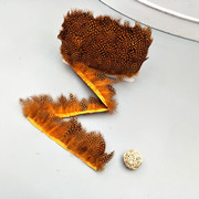 厂家批发珍珠鸡毛彩色羽毛 服装DIY手工工艺品饰品耳环材料野鸡毛详情12