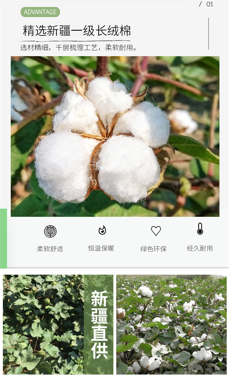 Xinjiang cotton quilts, long-staple cotton winter quilts, thick and warm cotton quilts, cotton quilts, single-person quilts, quilt cores, wholesale quilts pic 13