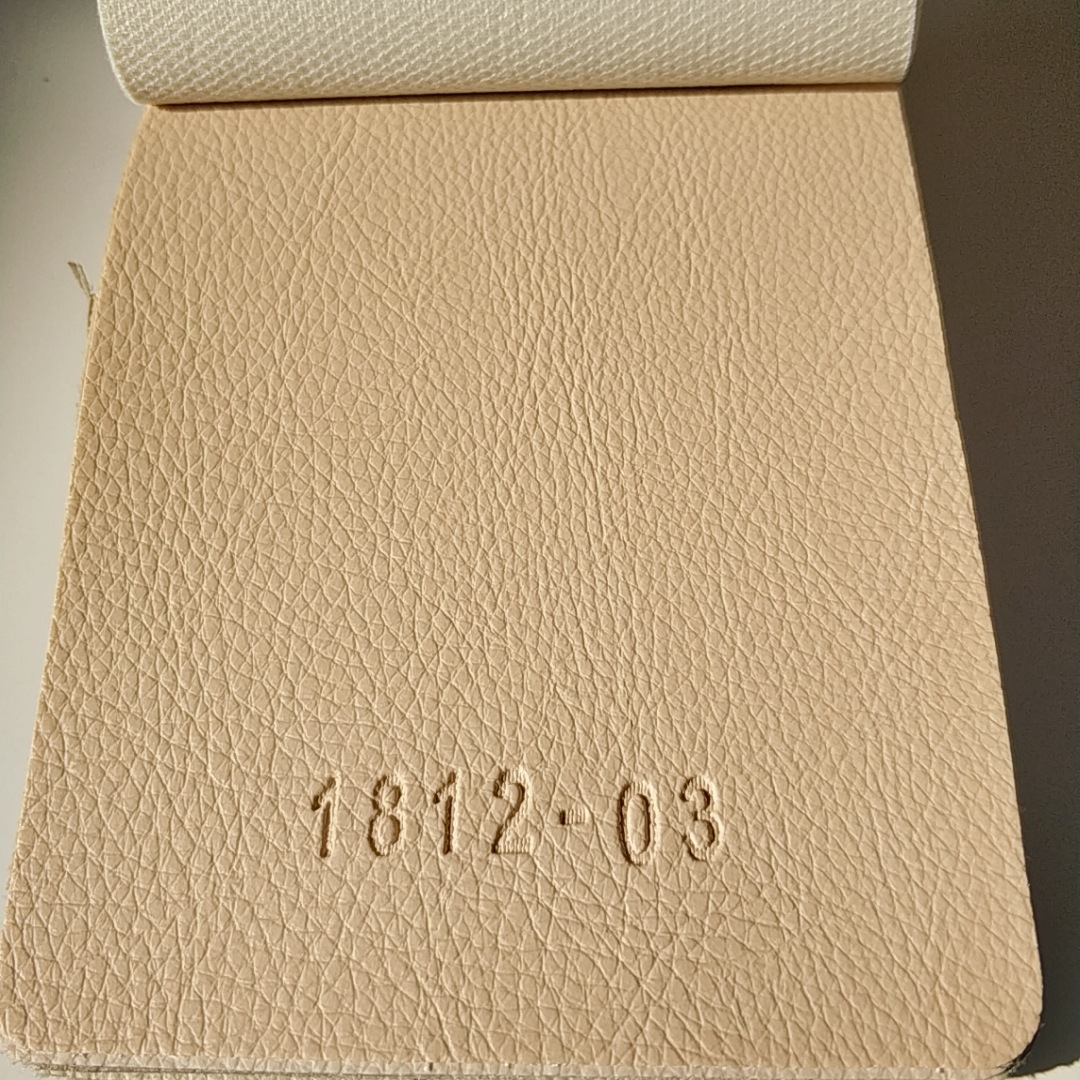 B612Kaji_20190122_104324_745