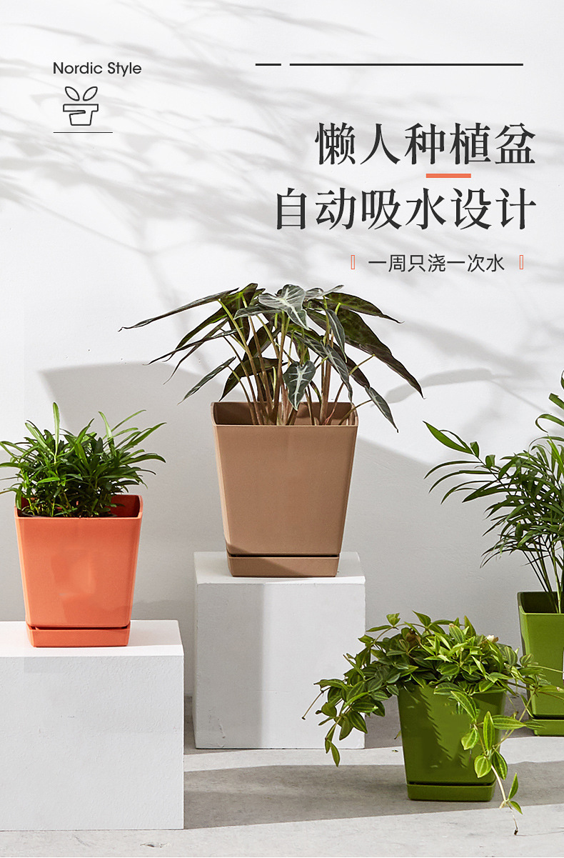 多肉盆小方盆塑料树脂小号桌面懒人花盆家用多肉植物花盆带底托详情1