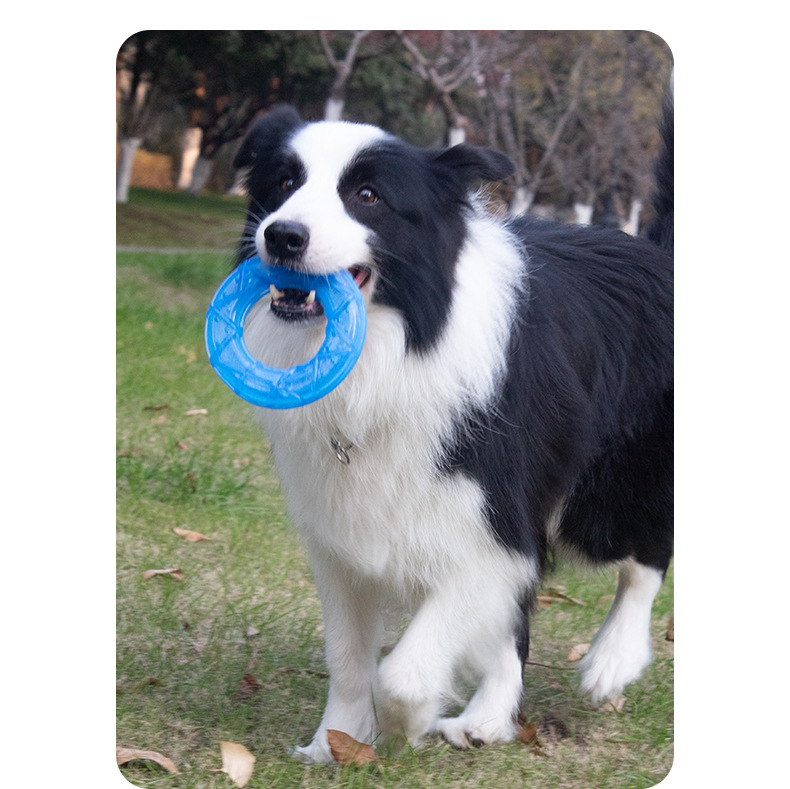 Pet frozen fruit series: Non-toxic and environmentally friendly dog teeth grinding and cleaning water, chilled lemon, cool and sound-making toys pic 12