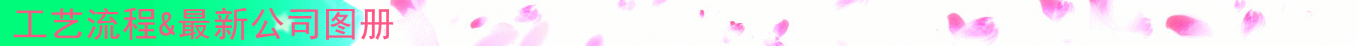 工艺流程和最新图册标题