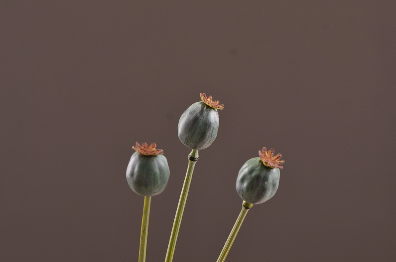 Original factory products, artificial fruits, flower arrangement materials, wabi-sabi style, simple country style, artificial fruits wholesale, artificial flowers pic 25