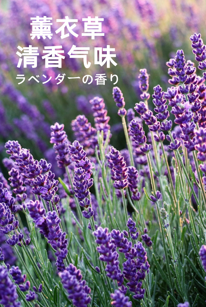 Japanese Dingding Cooling Anti-Itch Liquid, anti-mosquito bite, Soothing droplet Gel, Mosquito Repellent water, Mosquito repellent wonder, Mosquito cream pic 8