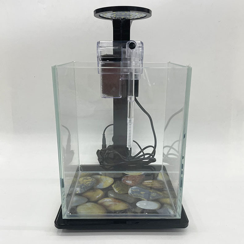 Ecological bottle micro-landscape, small office desktop, fish tank landscaping, fighting fish, glass tank, aquarium living room creativity pic 17