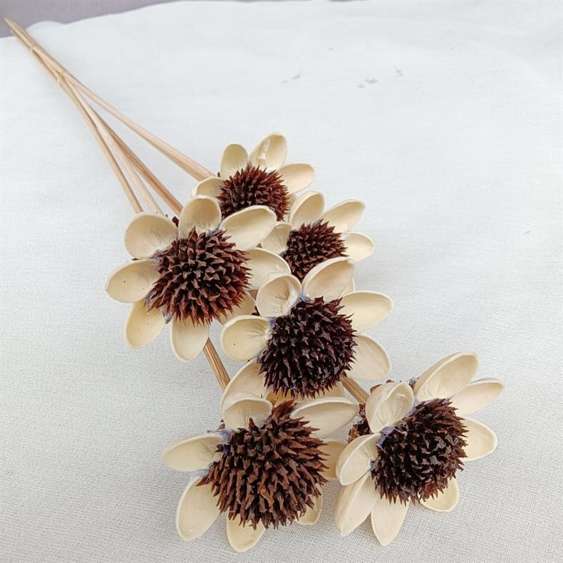 万花丛影2023永生花diy手工花太阳花干花插花手工制作详情8