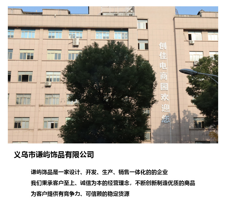 2025年新品张悦儿同款几何圆环吊坠项链设计感黑皮绳可调节锁骨链详情1