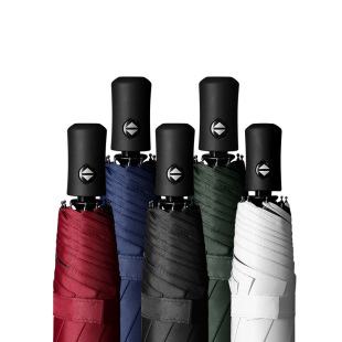 代发三折水果伞防晒黑胶太阳伞遮阳雨伞晴雨两用全自动折叠晴雨伞详情5