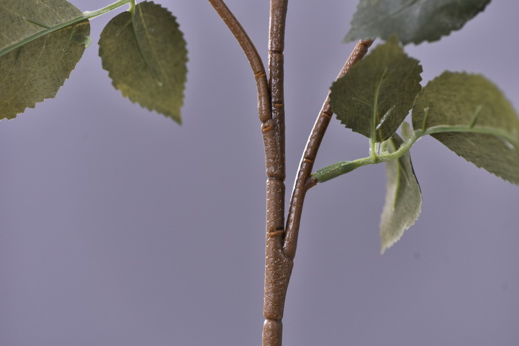 Factory wholesale of 5-head simulated rose with charred edges, retro Greek rose, living room, hotel and homestay photography props rose pic 37