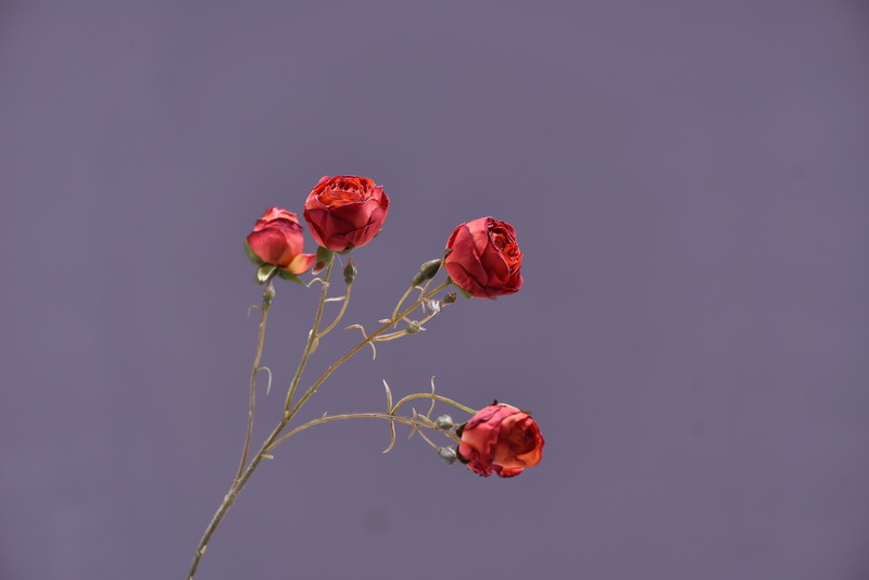 Simulated retro charred edge rose bud home, hotel, banquet table flower, high-end simulated rose, simulated dried flower pic 5