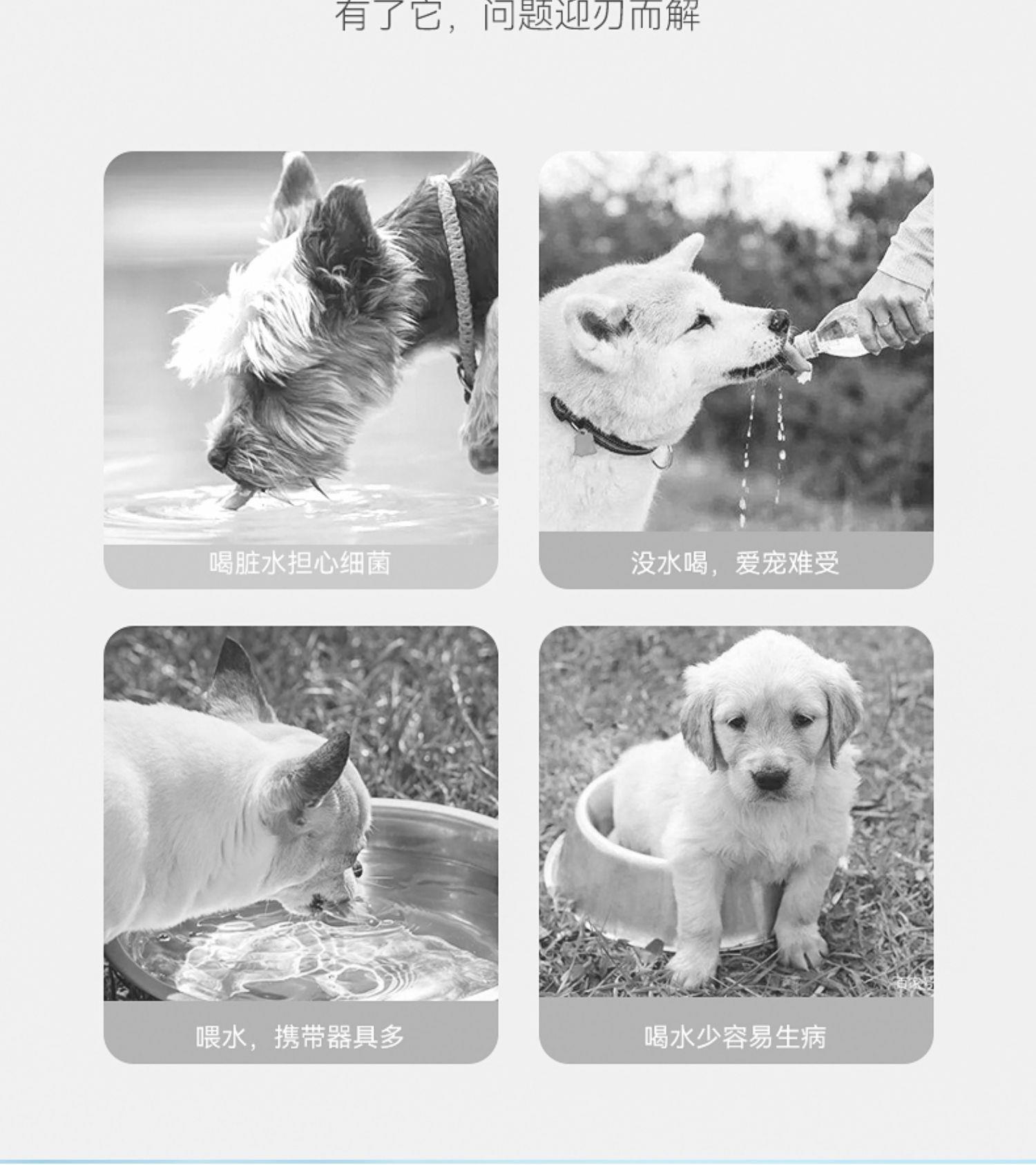 狗狗外出水杯饮水器宠物猫咪喝水壶便携式遛狗随行杯户外野炊跨境详情6