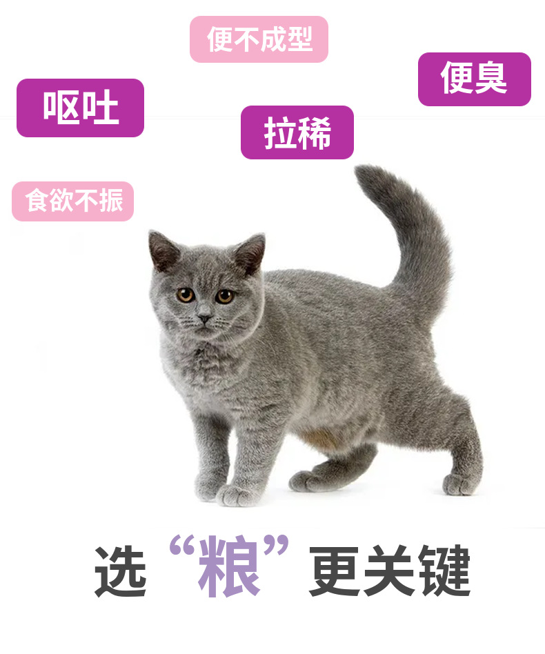 猫粮无谷鲜肉成幼猫肠道泌尿呵护美毛泪痕宠物食品批发猫主粮厂家详情21