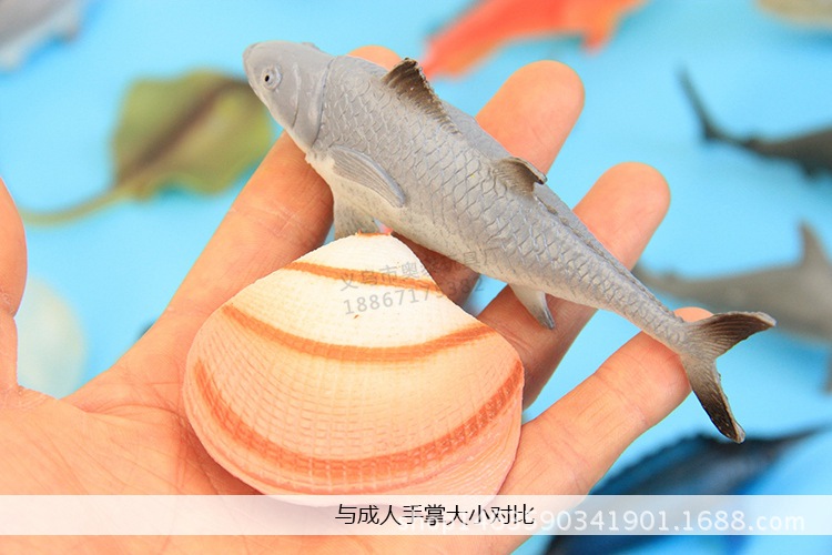 与手尺寸对比1_副本