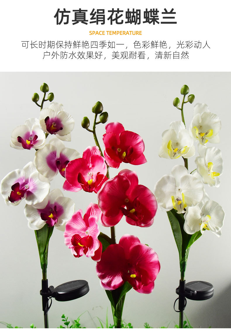 Cross-border solar lamps, simulated flower Phalaenopsis, ground insert lamps, outdoor courtyard lamps, landscape, festival and garden decorations pic 10