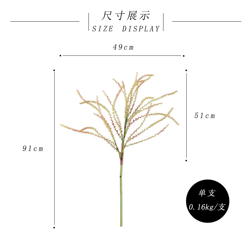 尺寸展示.jpg