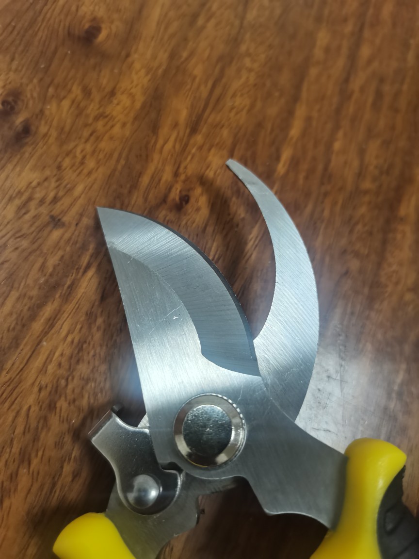 树枝剪园艺剪果枝剪强力枝剪不锈钢铁皮剪加厚工具剪阳江厂家直销详情8