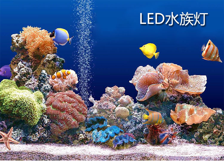 Wholesale Phantom 100W fish light fill light, aquarium light, remote control fish tank light, aquatic plant fill light pic 1