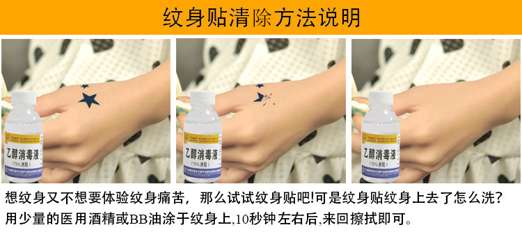 2733764254_1322597640