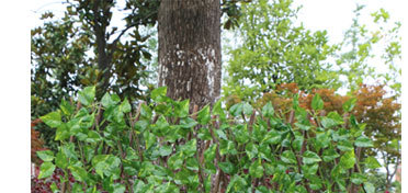 Artificial fence guardrail net, artificial grass fence net, artificial plant leaf fence, artificial rattan fence, artificial flower, artificial lawn, artificial tree, artificial rattan, artificial flower, artificial green pic 22