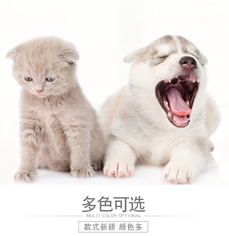 Pet bowls, dog basins, stainless steel dog bowls, anti-slip water basins, double-layer anti-slip and shock-resistant pet feeders, cat bowls available for delivery pic 5