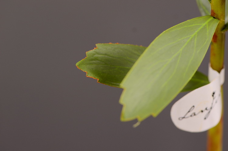 Factory direct sales, wholesale of in-stock inventory of artificial large needle cushion flowers, artificial flower sets, wholesale of living room, dining table, entrance hall, desktop decoration, flower arrangement and ornaments pic 14