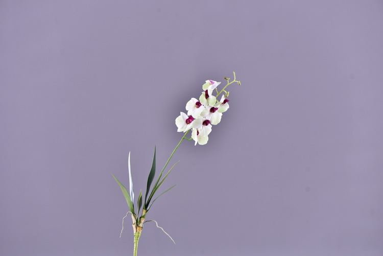 Factory direct sales of high-end artificial dendrobium, wholesale of artificial flowers with leaves, home decoration of Phalaenopsis and Lanjin artificial plants pic 5