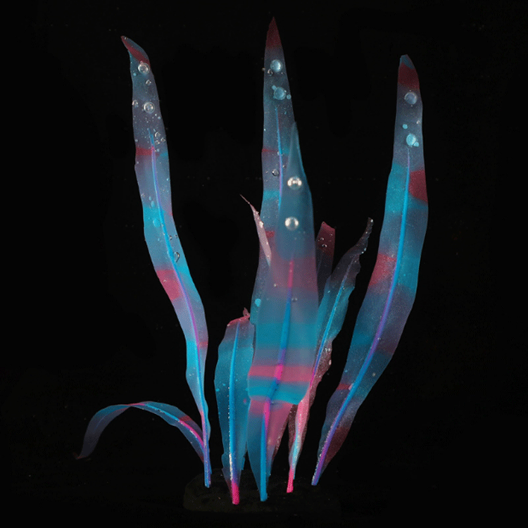 Aquarium fish tank landscape decoration Silicone simulation soft coral - kelp M25cm/S18cm pic 27