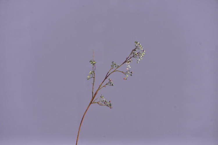 Factory direct sales of artificial Ma Sang Fruit Mountain return artificial berries wholesale living room model room banquet decoration wild fruits pic 4