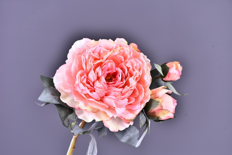 Factory direct sales of faux peonies with charred edges, wholesale of retro faux paeonies, living room and dining table flowers, wedding decoration artificial flowers pic 21