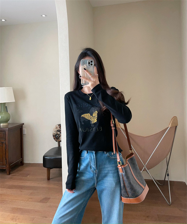 Playful and youthful embroidered printed puppy loose straight top straight-shoulder round-neck long-sleeved T-shirt for women 2025 early Spring G021418 pic 36